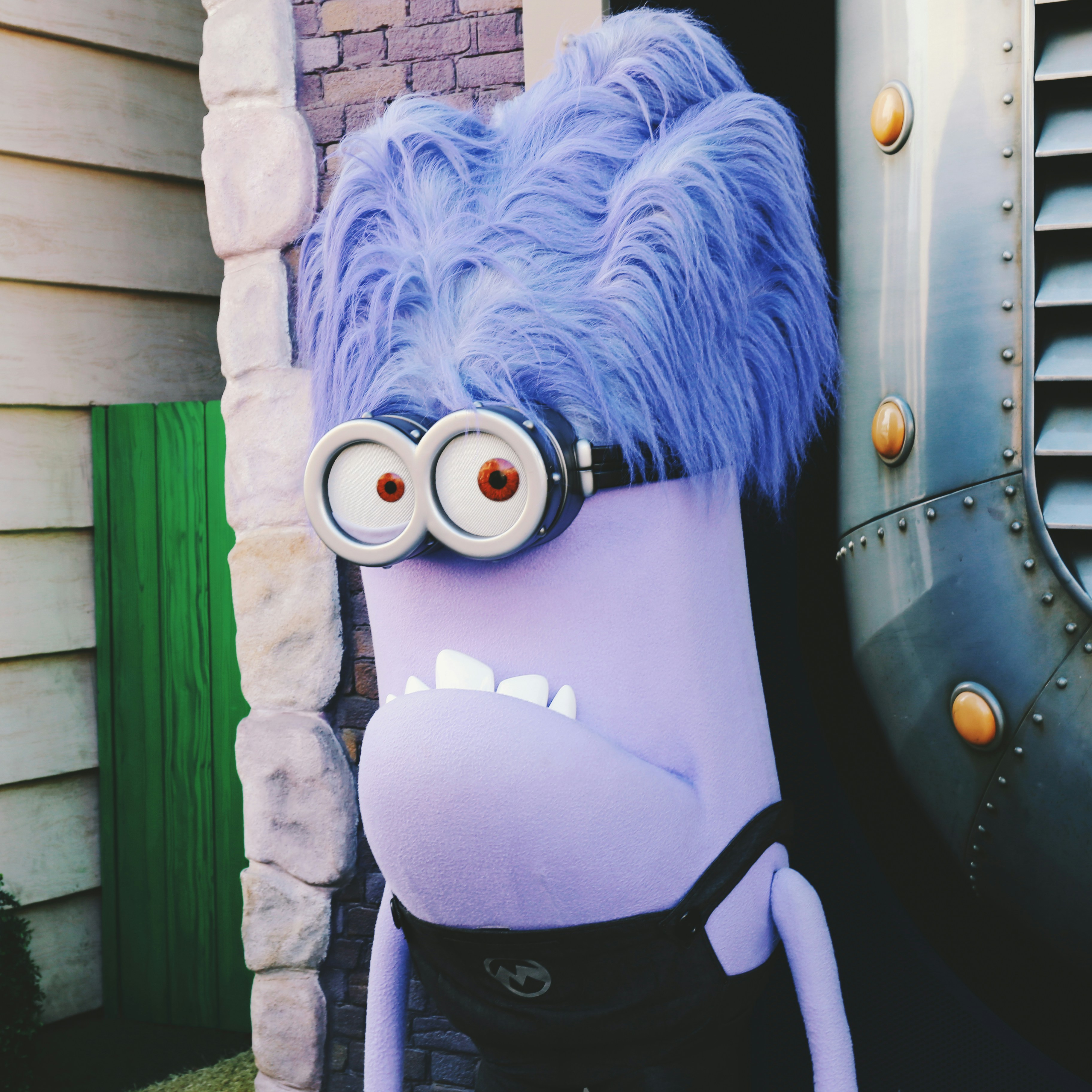 Photo by tommaomaoer