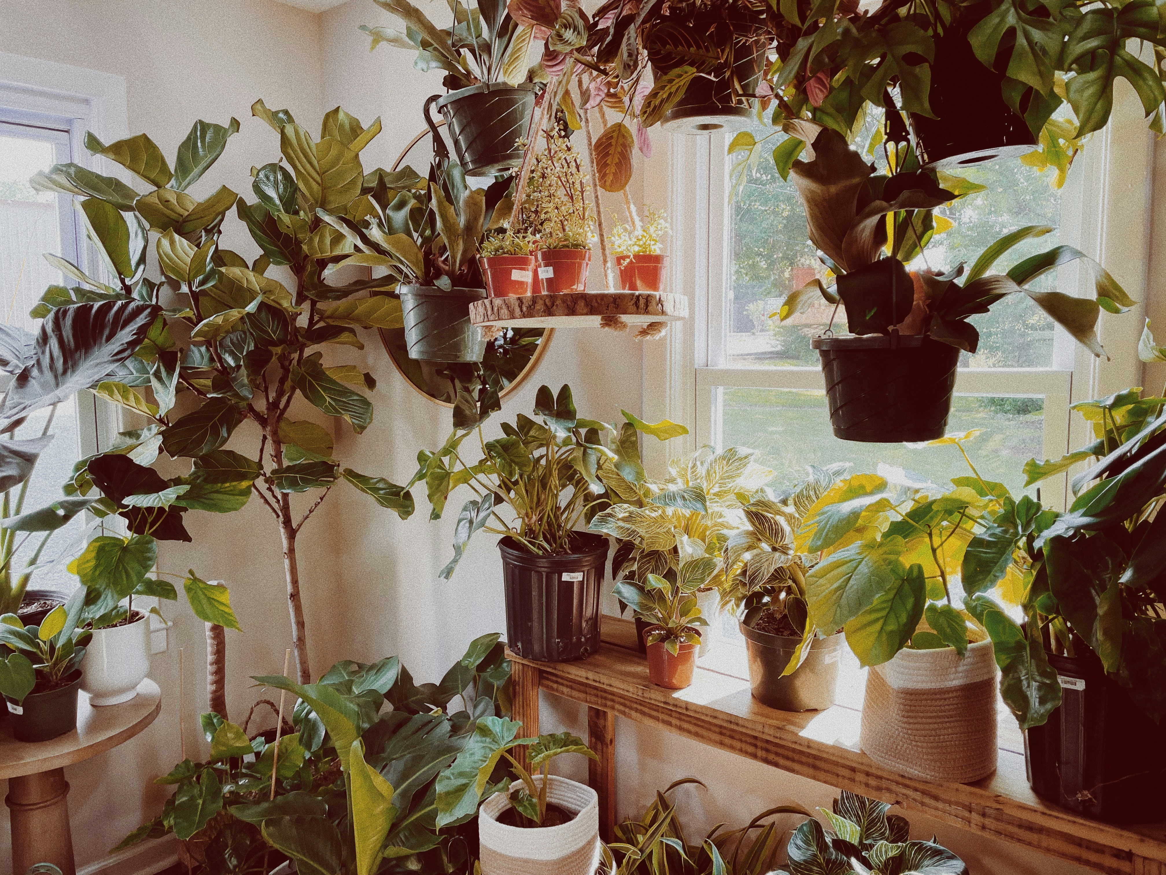 Photo by nickdepartee