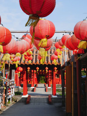 red paper lanterns on street during daytime