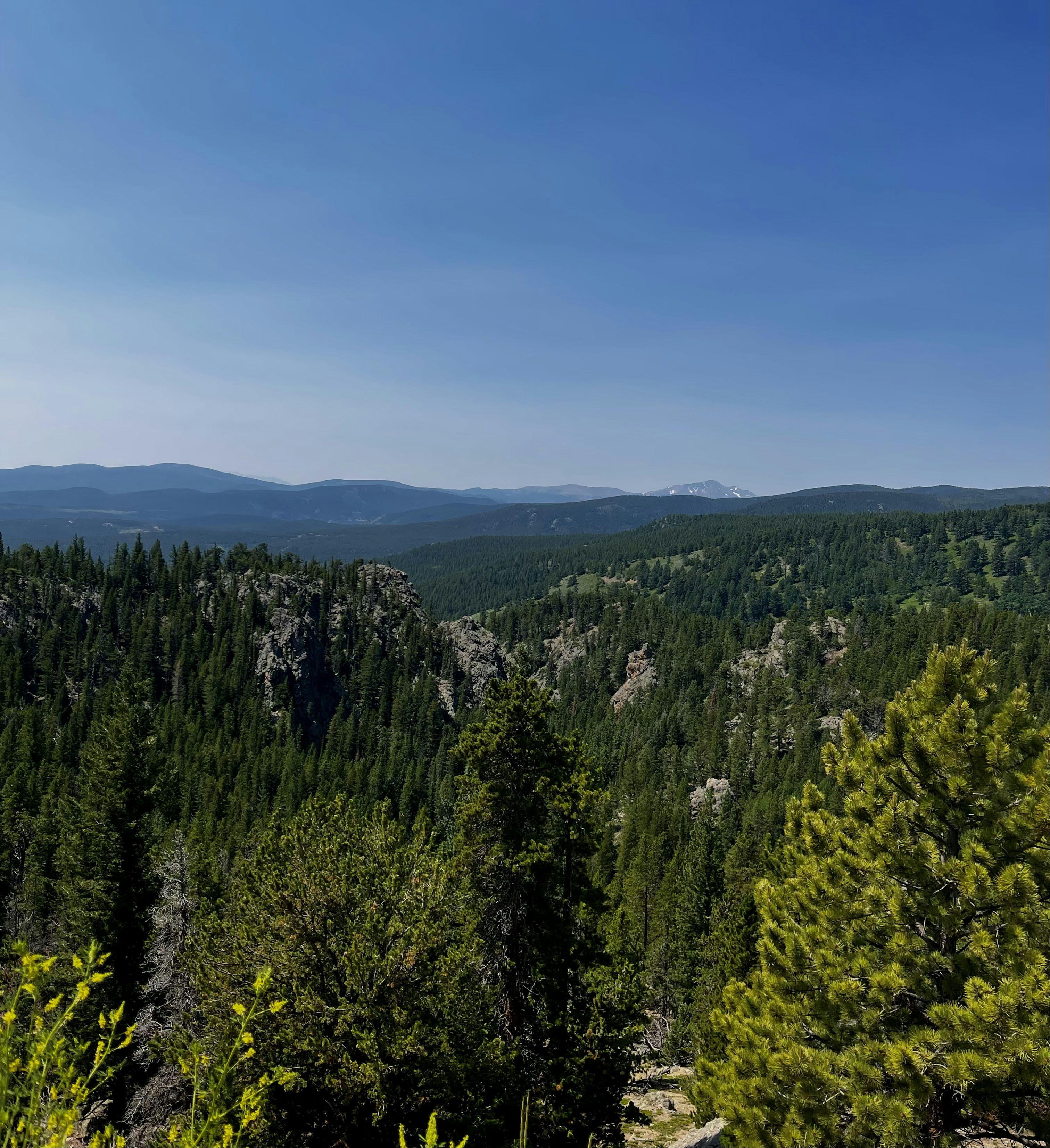 Photo by laitonbarbo