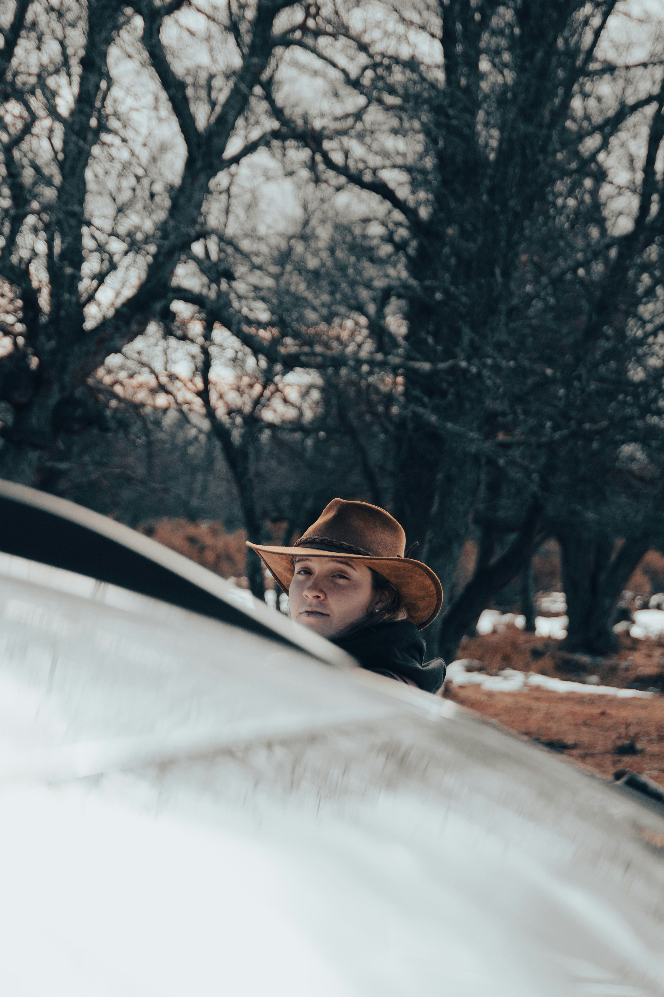 Photo by williamsiann