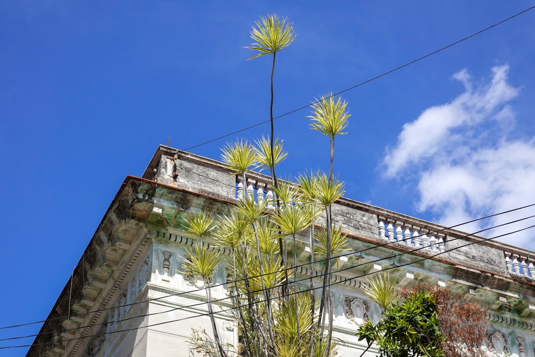 white concrete building under blue sky during daytime