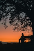 A quiet moment of reflection by a restored individual sitting on a park bench at sunset.