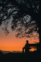 A peaceful sunset with a person reading a devotional on a bench.
