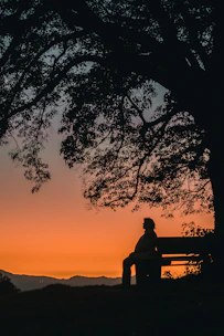 A peaceful sunset with a person reading a devotional on a bench.