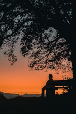 silhouette of man sitting on bench during sunset