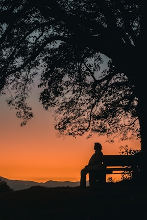 A quiet moment of reflection by a restored individual sitting on a park bench at sunset.