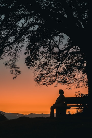 silhouette of man sitting on bench during sunset