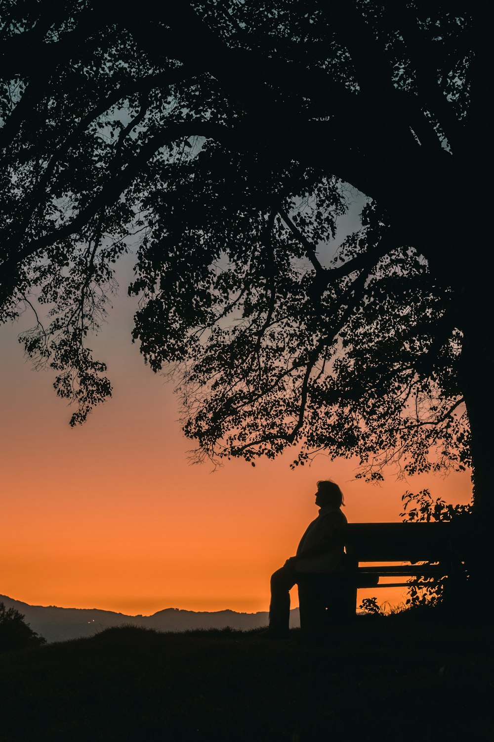 Silueta de hombre sentado en el banco durante la puesta del sol