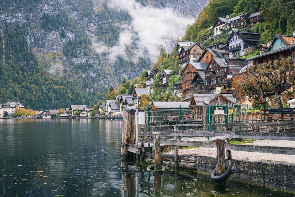 houses near body of water during daytime