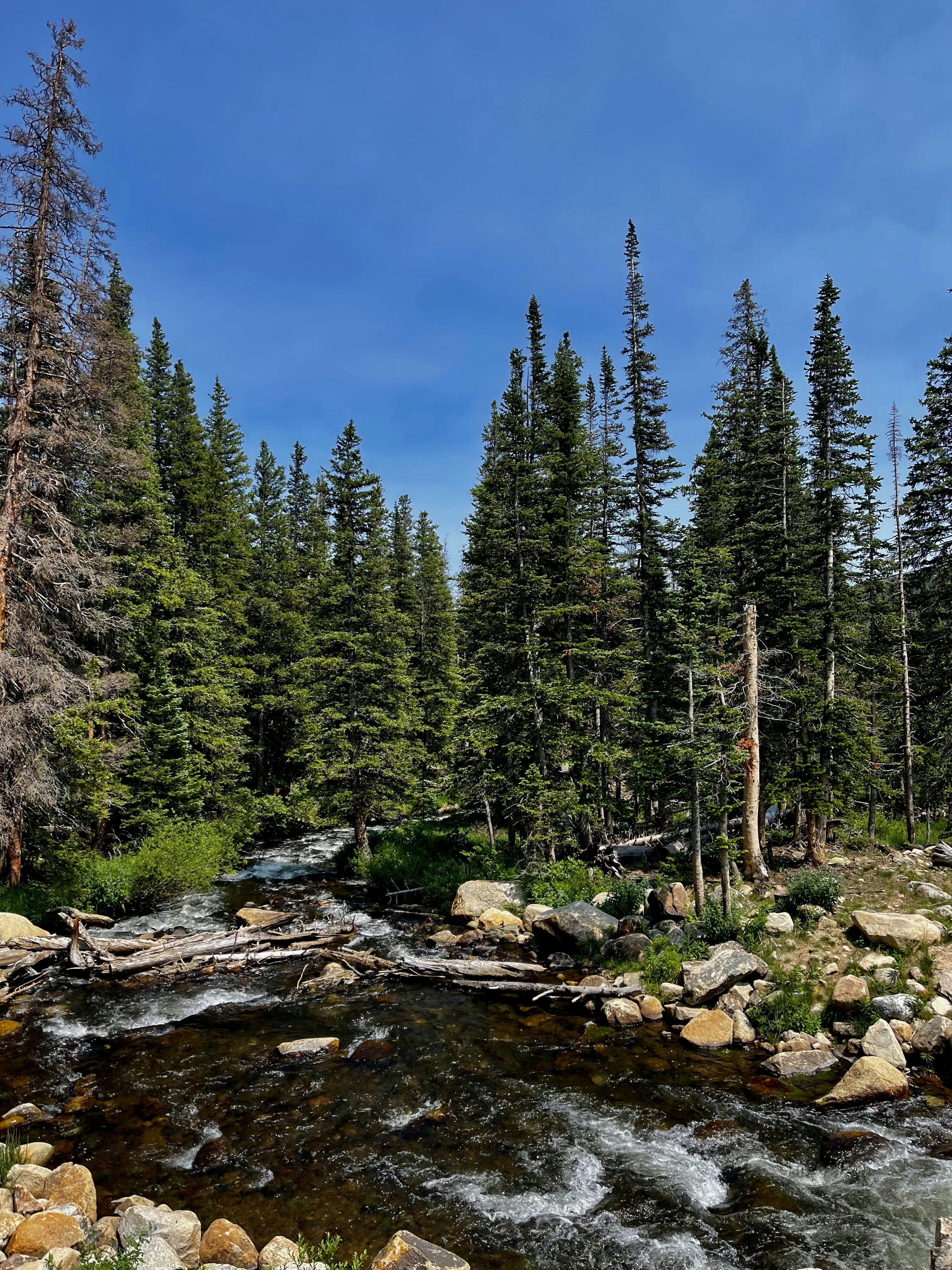 Photo by laitonbarbo