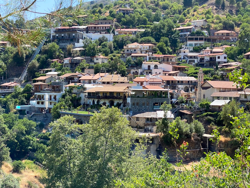 Vista aérea de árboles verdes y edificios marrones durante el día