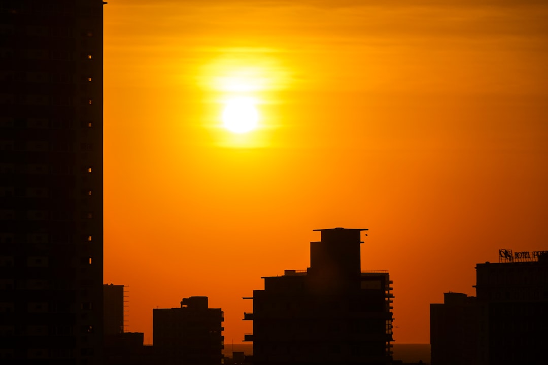 silhouette of buildings during sunset