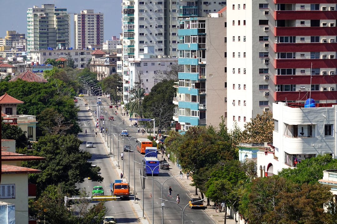 cars on road in city during daytime