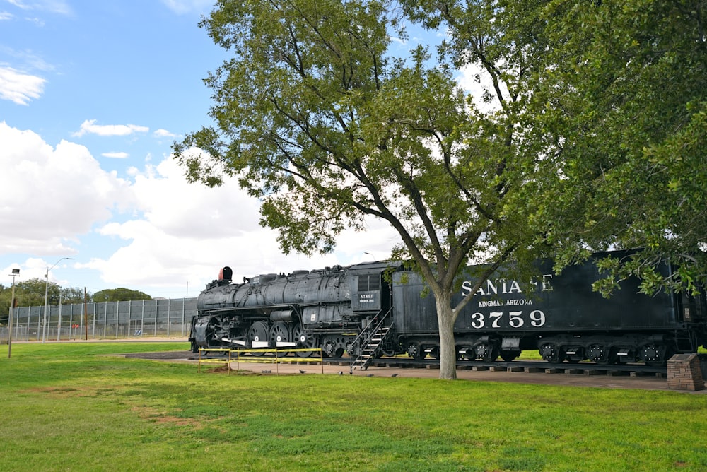 black train on green grass field near green trees during daytime