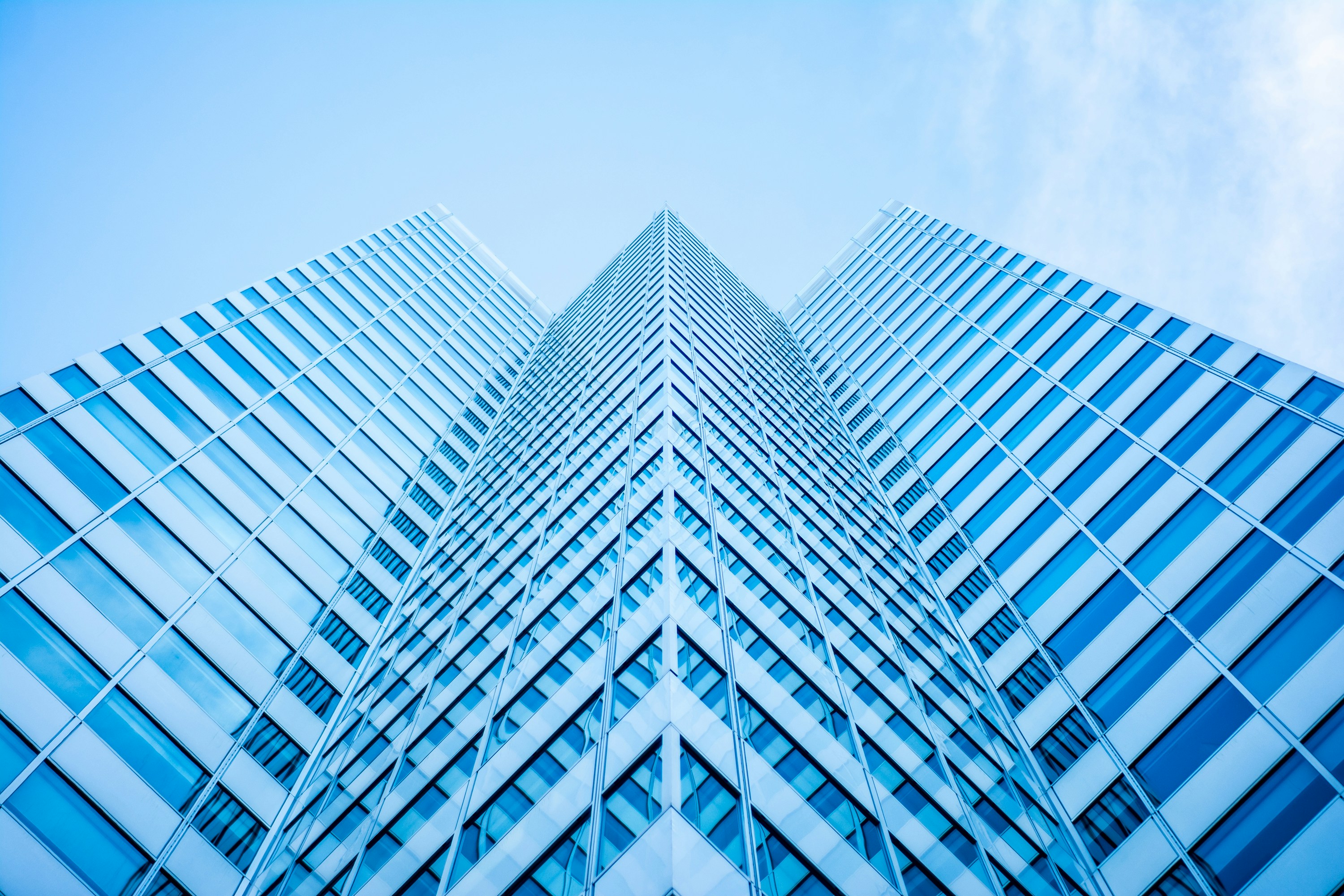 Photo by reddfrancisco