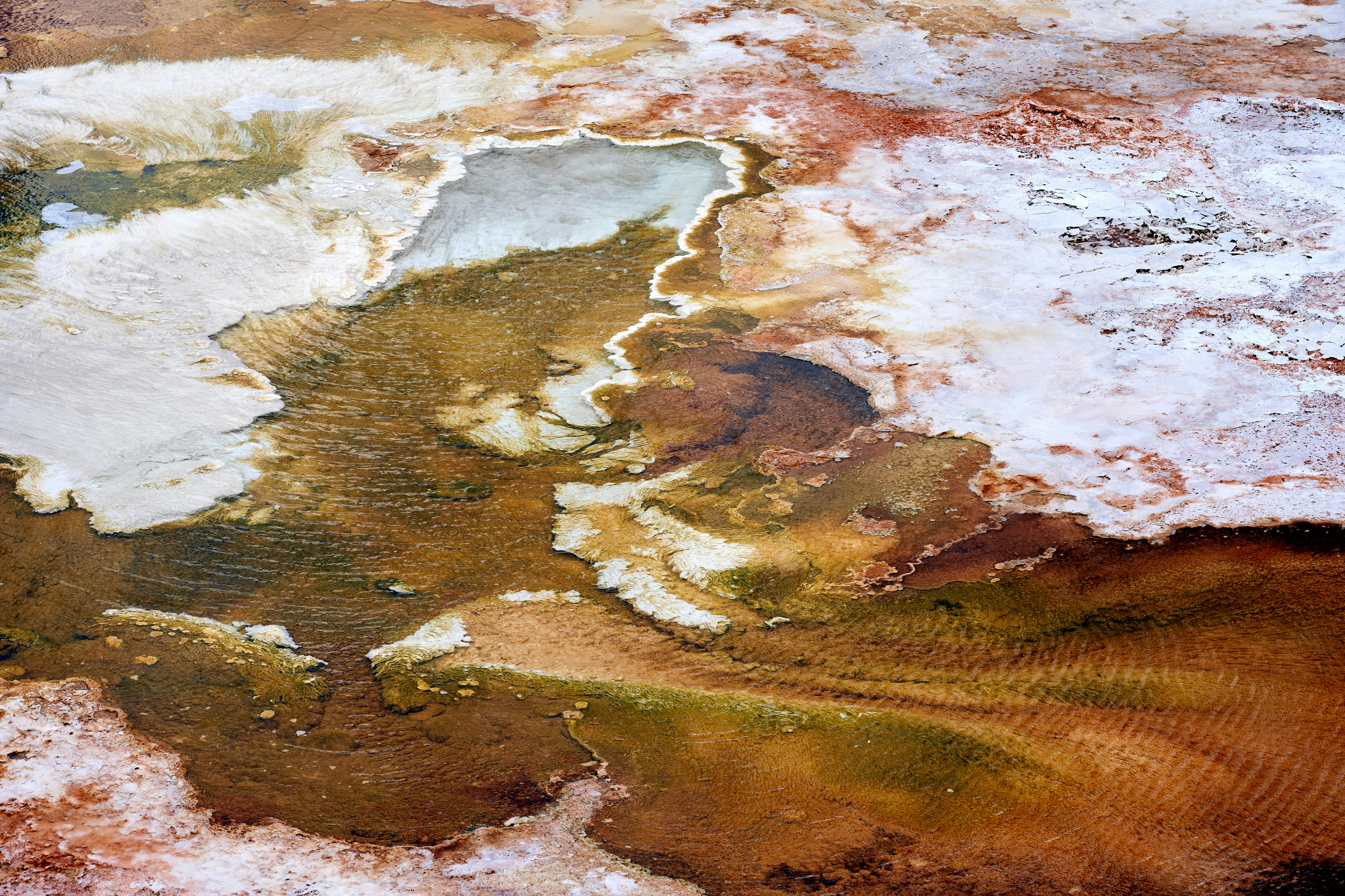 Photo by doctortinieblas