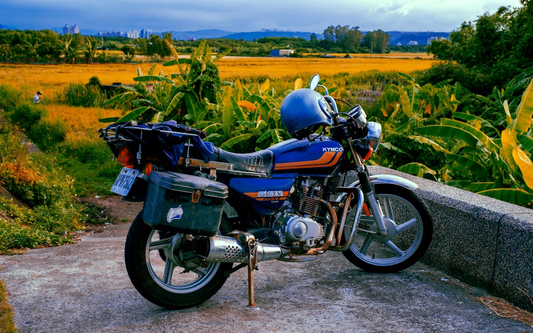 blue and black standard motorcycle on green grass field during daytime