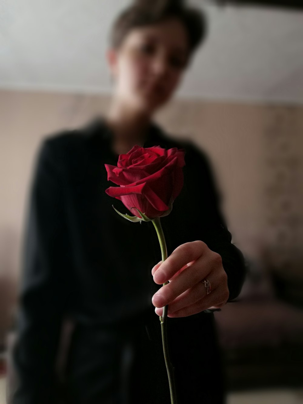 man in black suit holding red rose