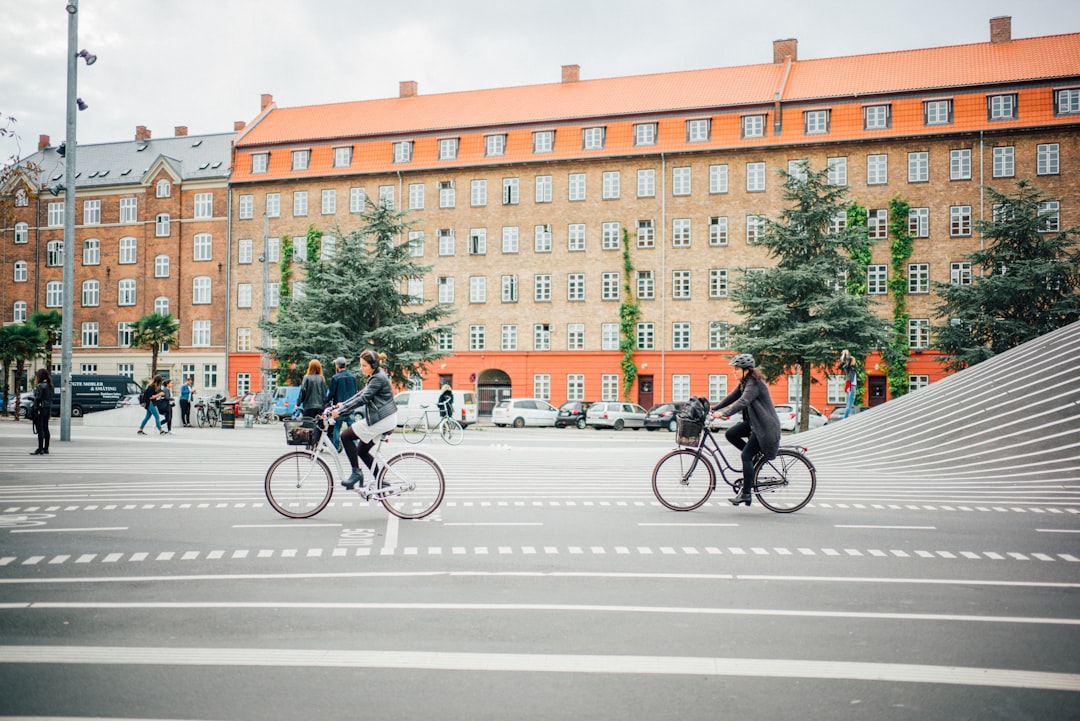 people riding bicycles on pedestrian lane during daytime