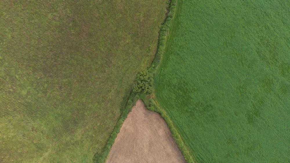 green grass field during daytime