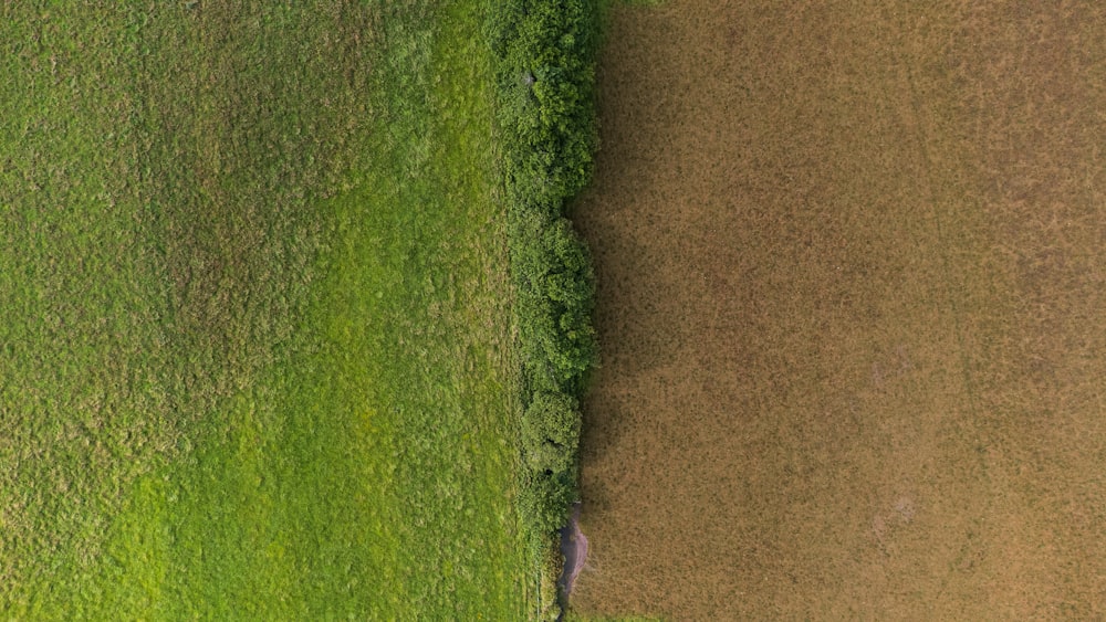 green grass field during daytime