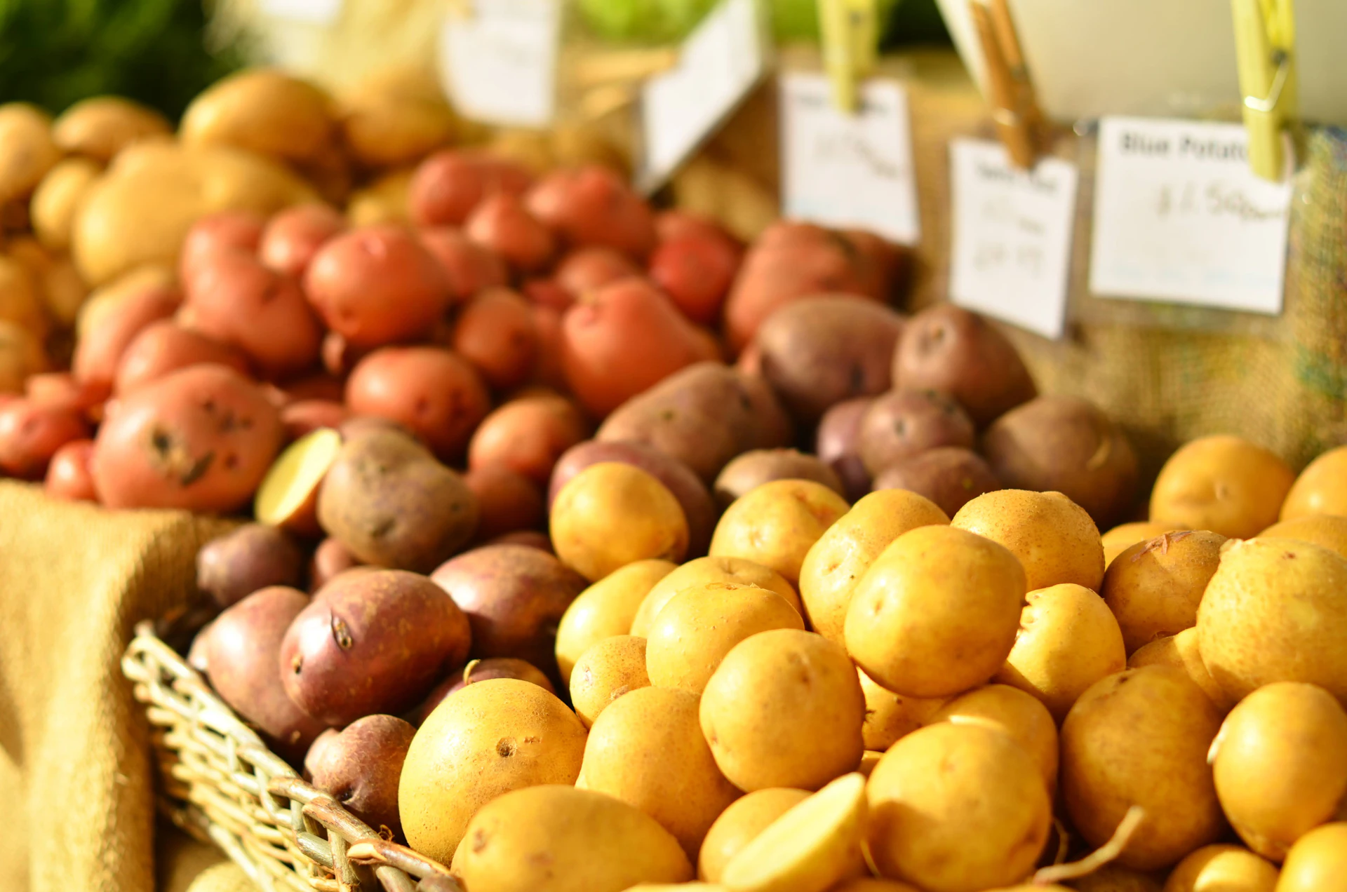 Conectando productores