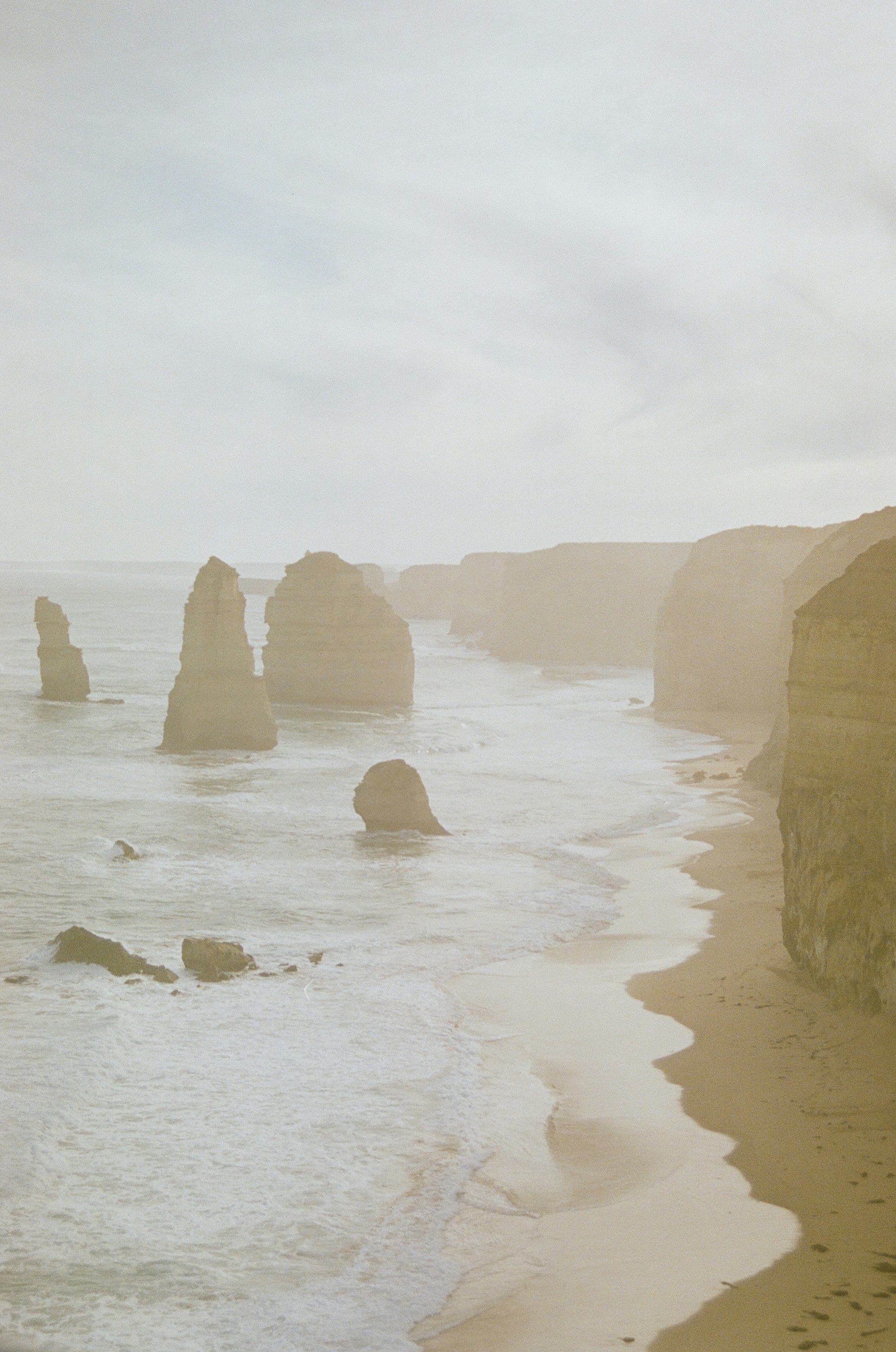 Top Food Asia Sausage Production Line