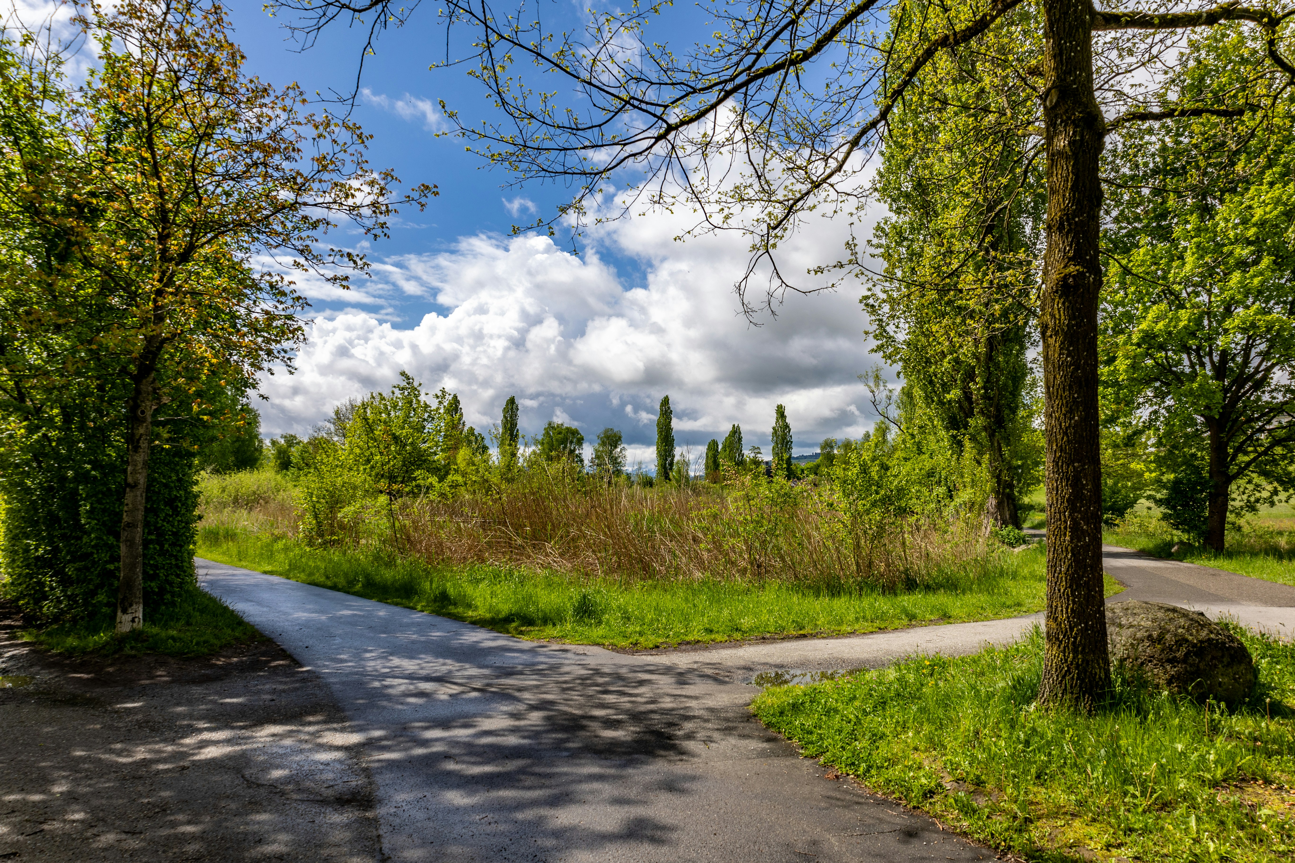 Photo by 360cbfoto