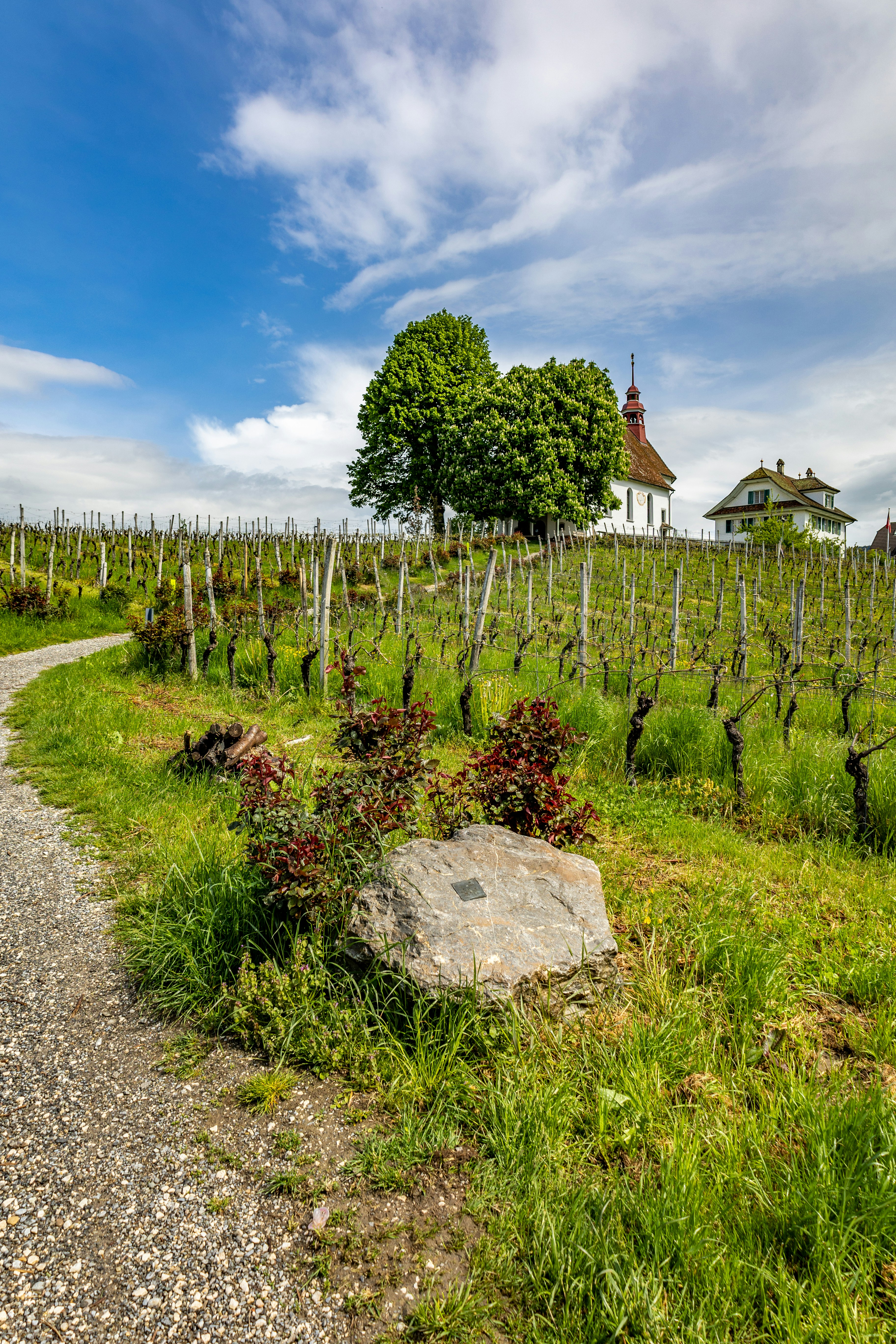 Book Your Experience