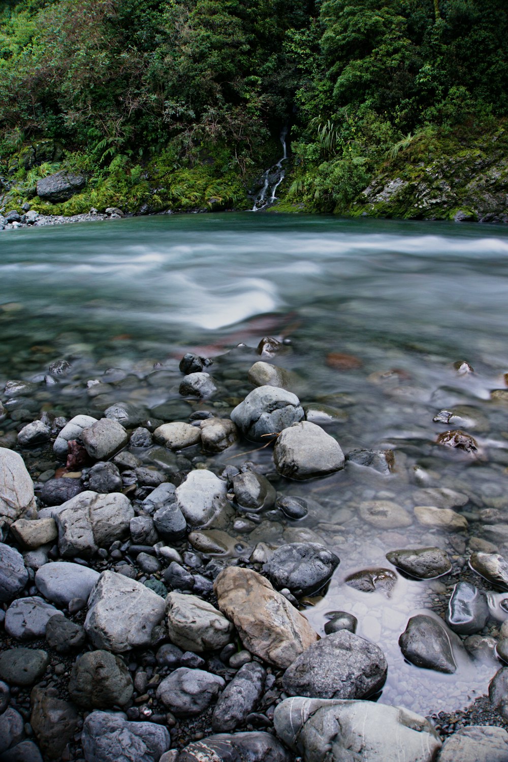 a river running through a lush green forest