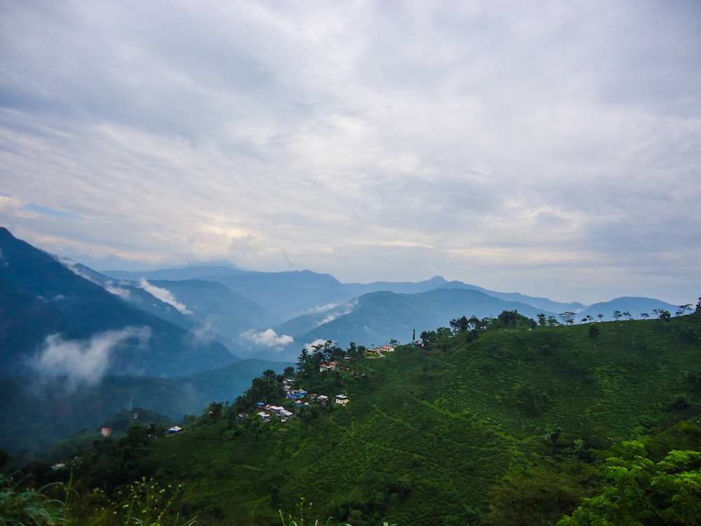 green trees on mountain under white clouds during daytime