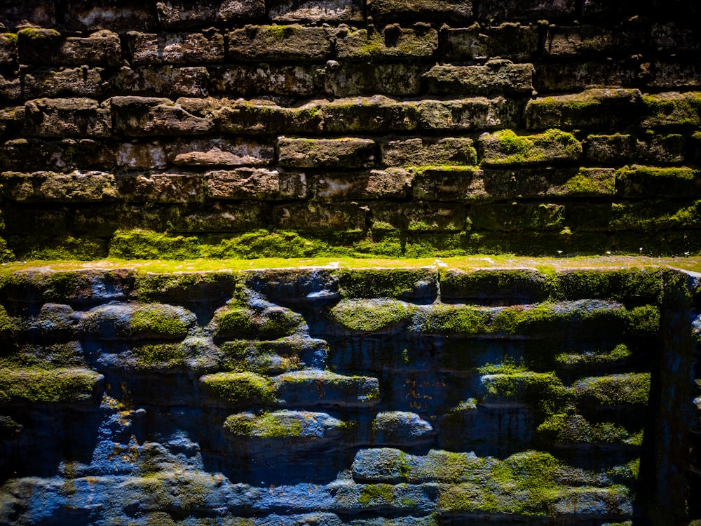 green moss on grey concrete wall