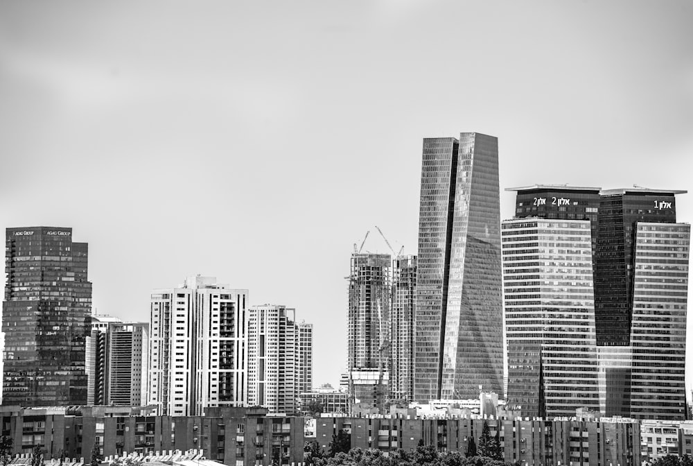 grayscale photo of city buildings