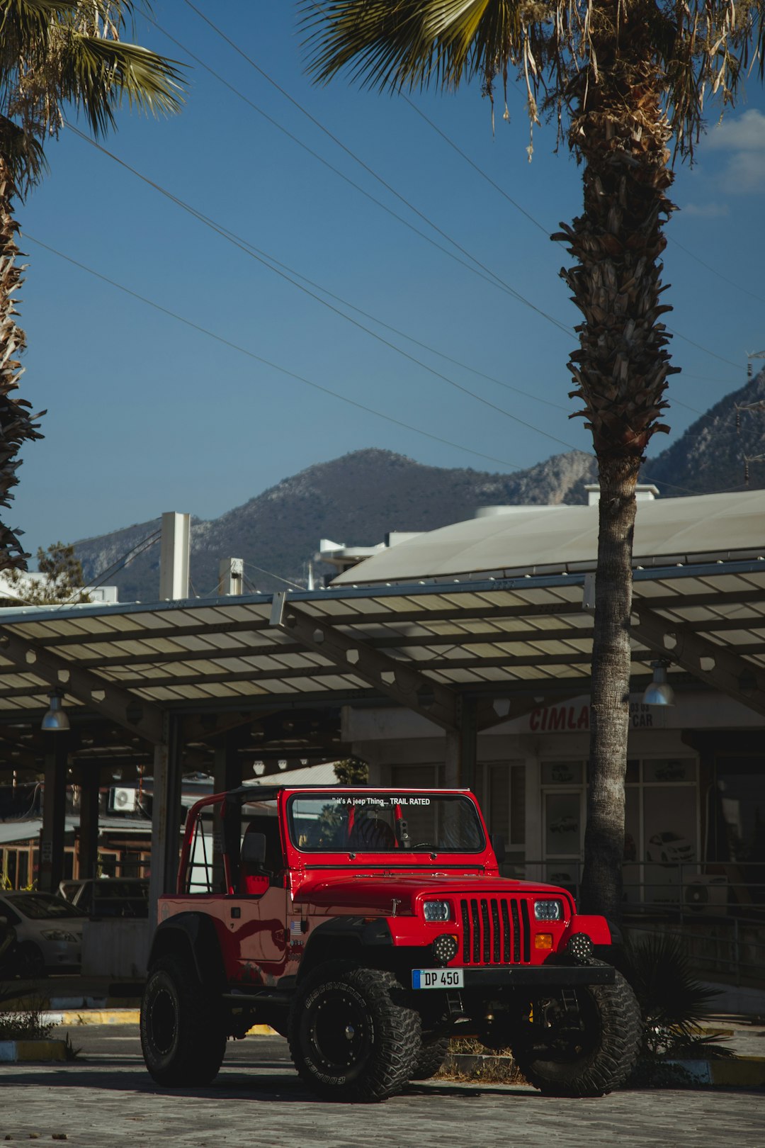 red car parked near green tree during daytime