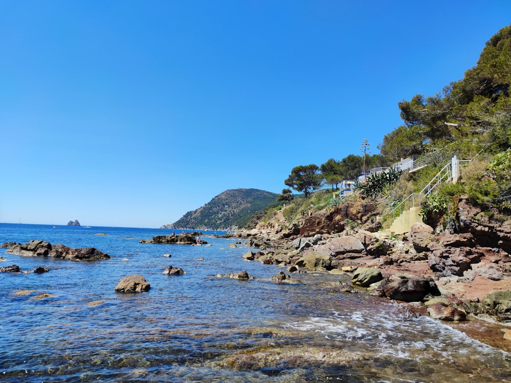 green trees on brown rock formation on sea shore during daytime