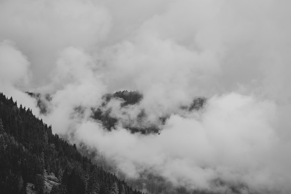 grayscale photo of trees and clouds