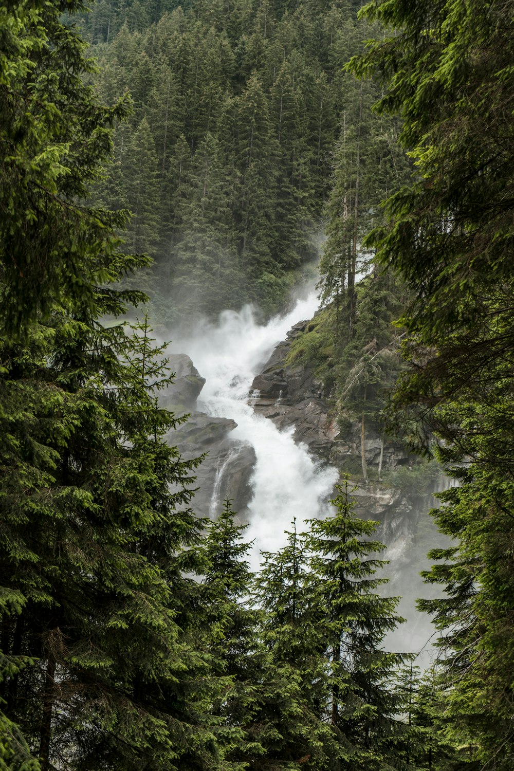 green trees and river during daytime