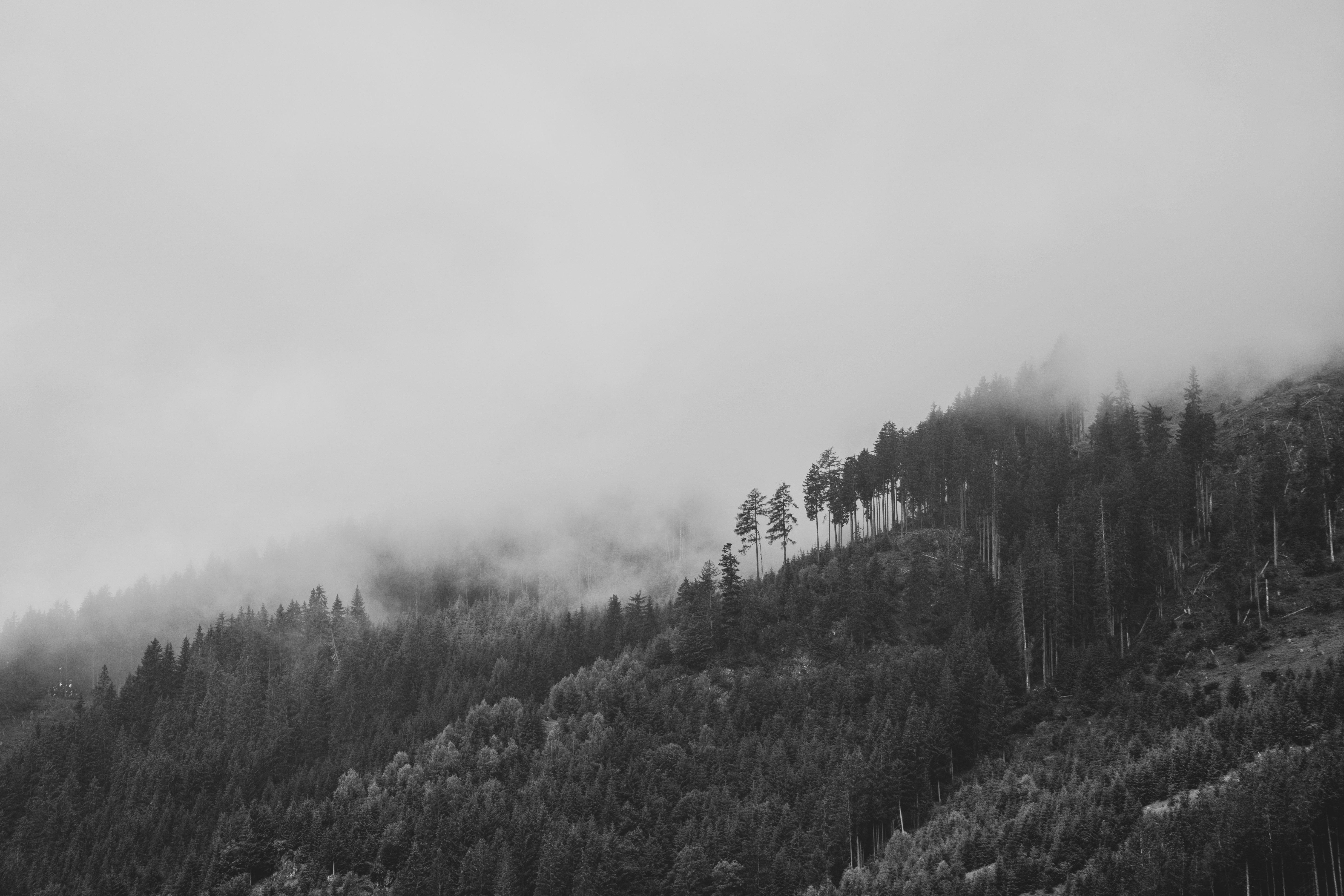 Photo by julianhochgesang