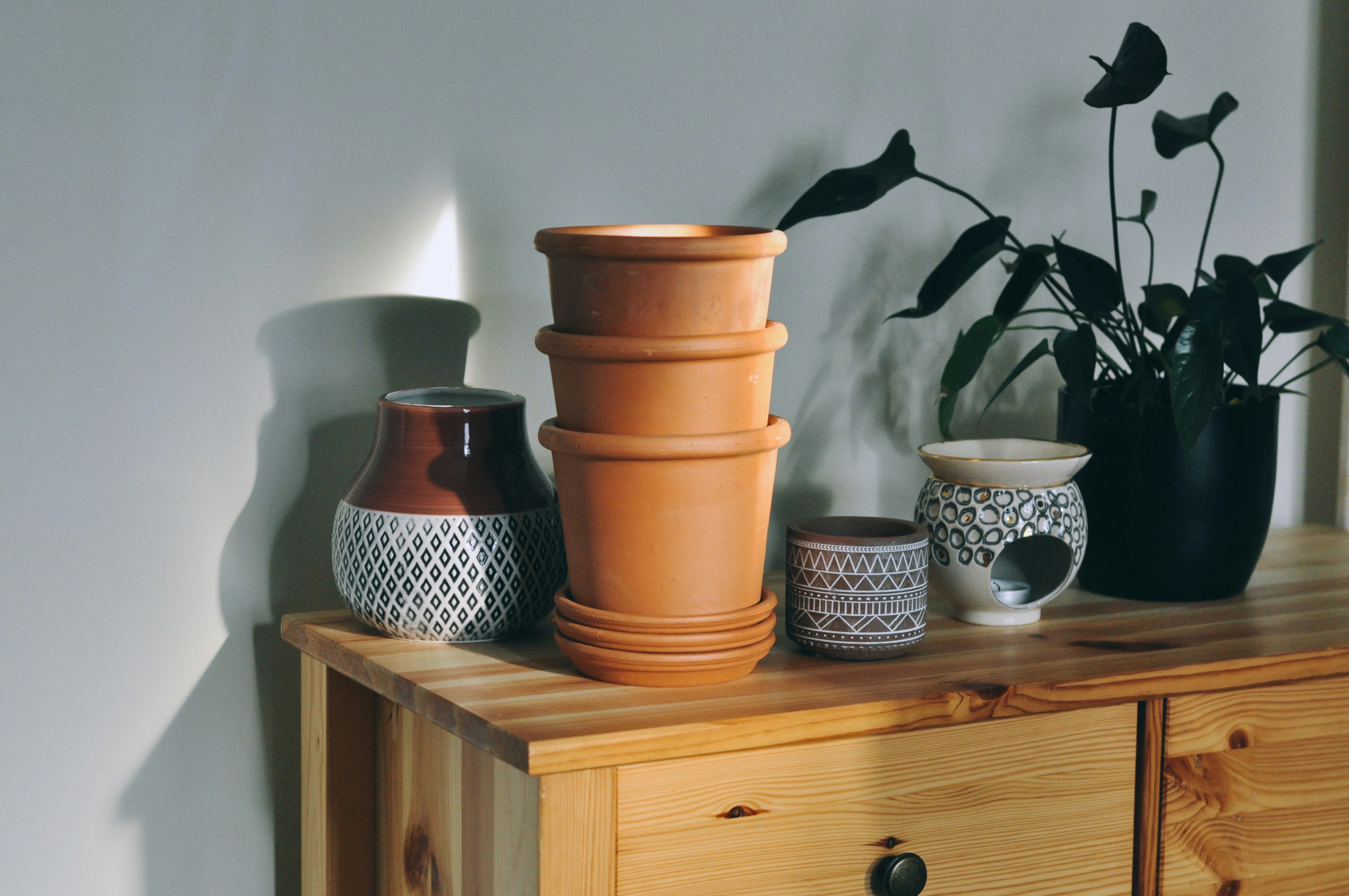 Photo by leavesandroots_