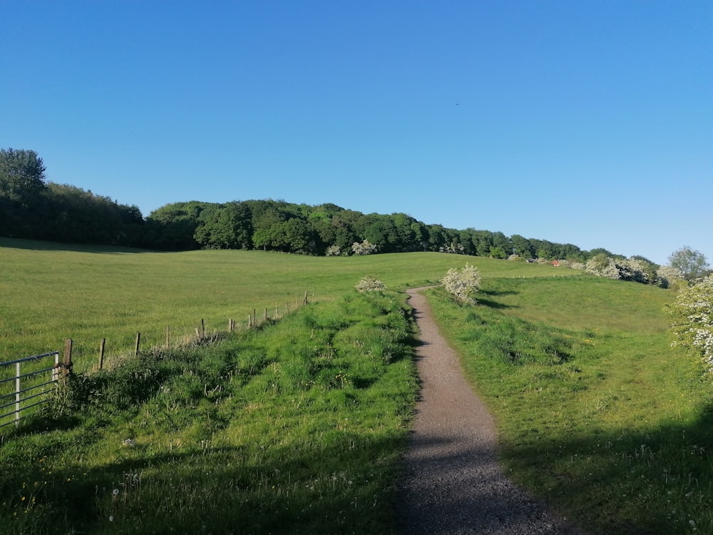 green grass field under blue sky during daytime