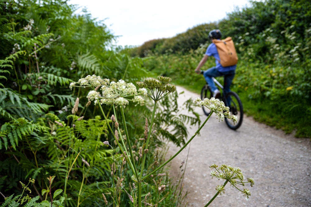 man in blue shirt and black pants riding bicycle on road during daytime