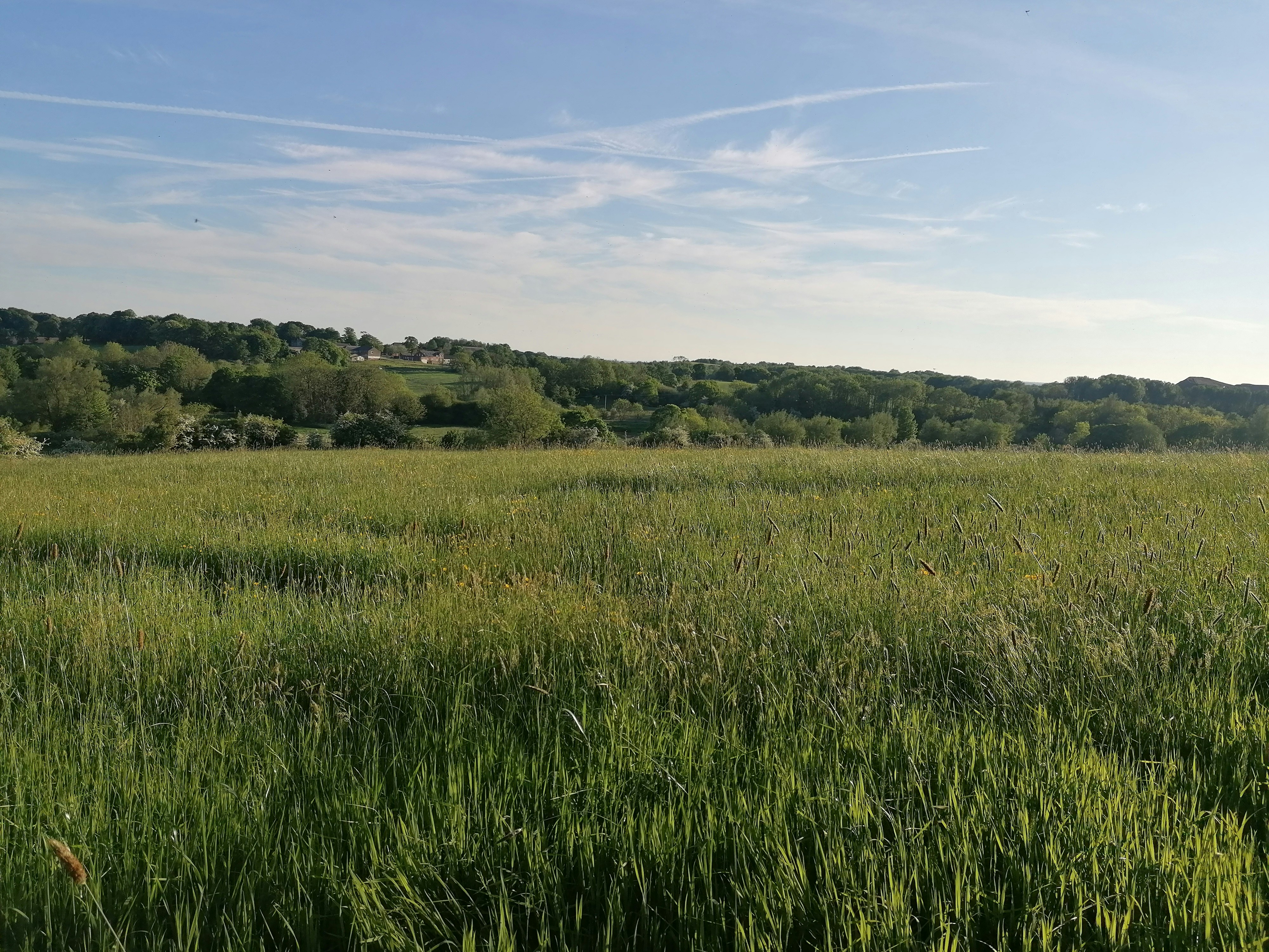 Photo by will_venables27