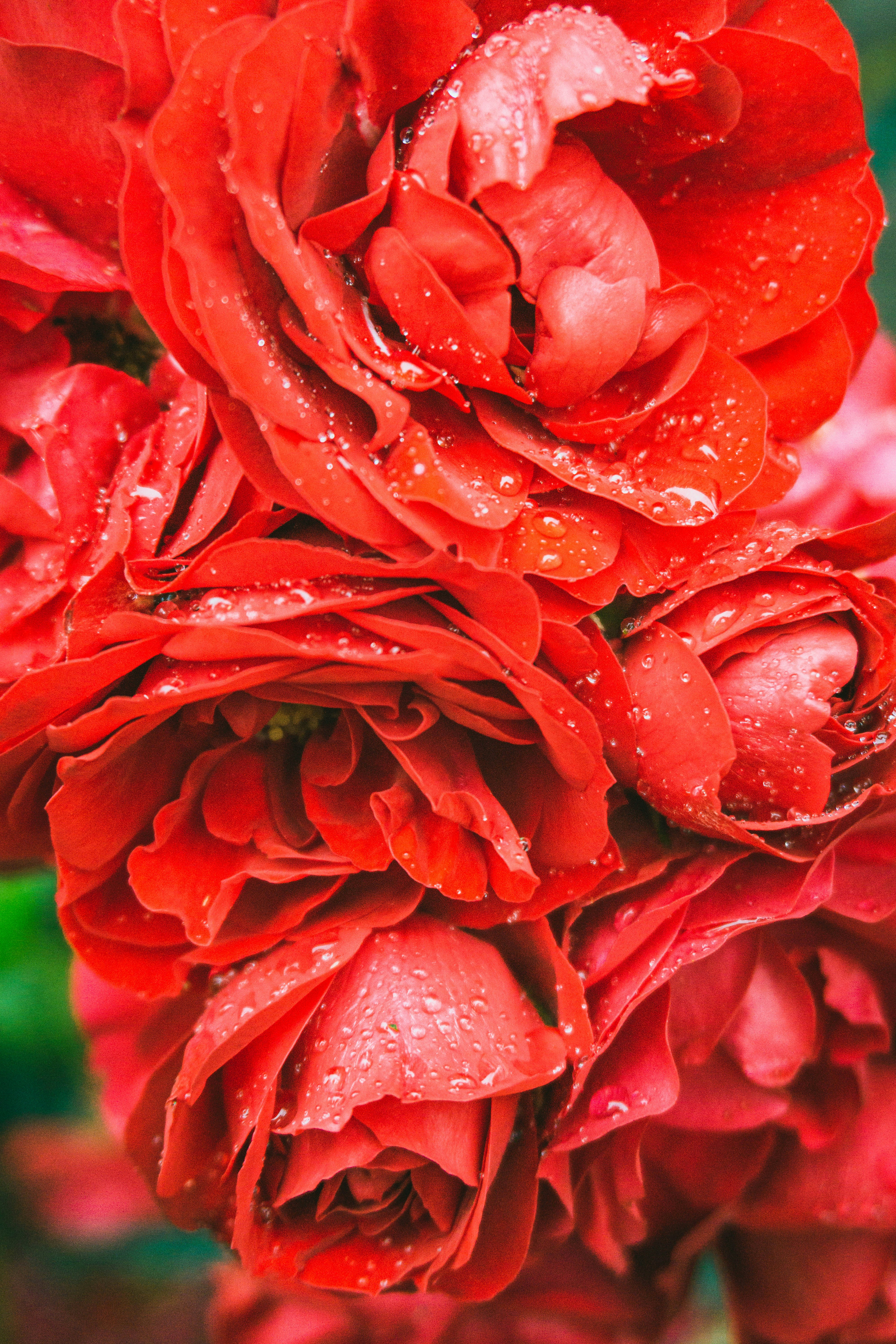 Photo by anainsomnia