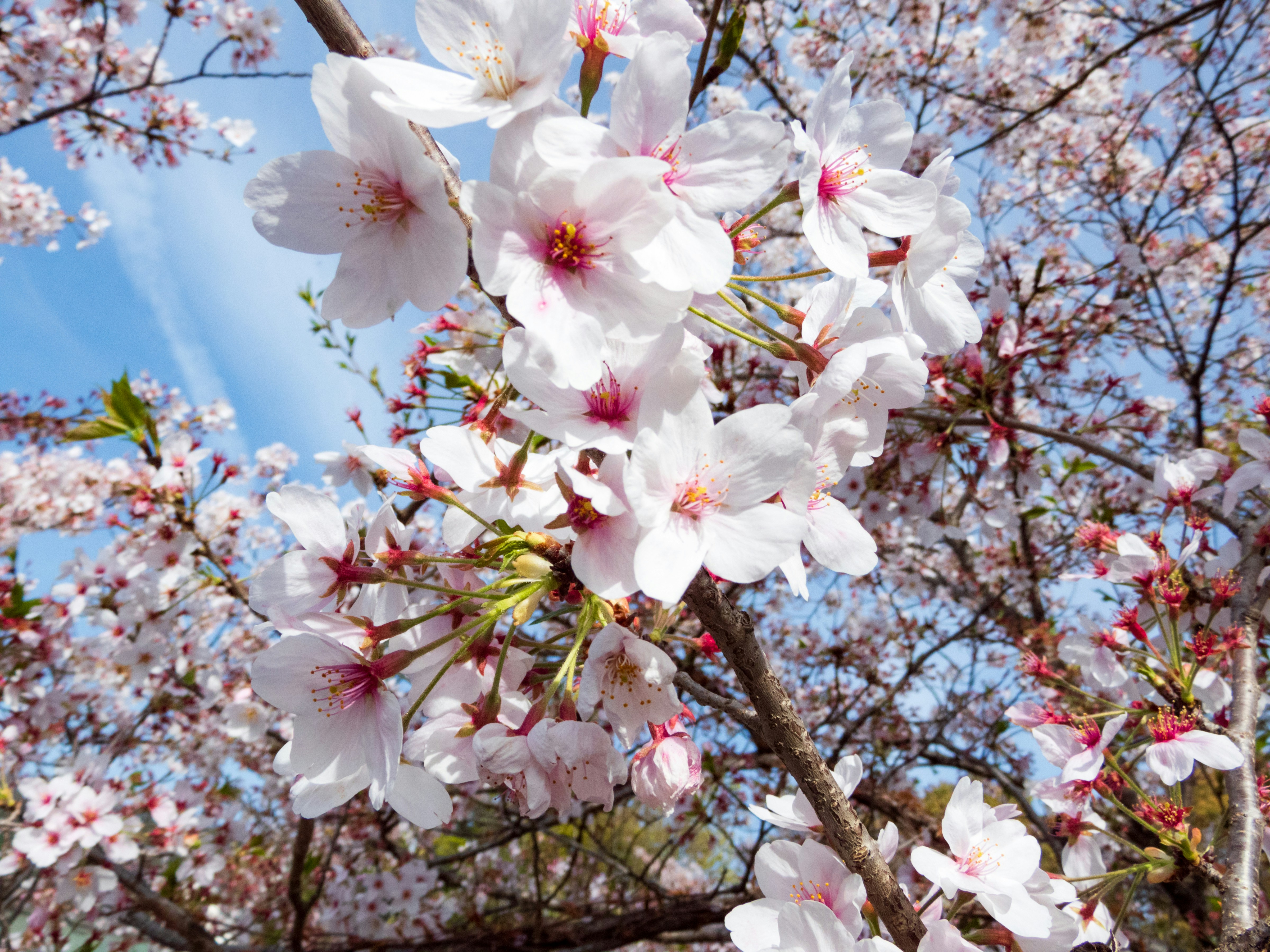 Photo by heppoko_yama