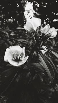 A detailed close-up of a textured oil painting featuring a blooming flower.