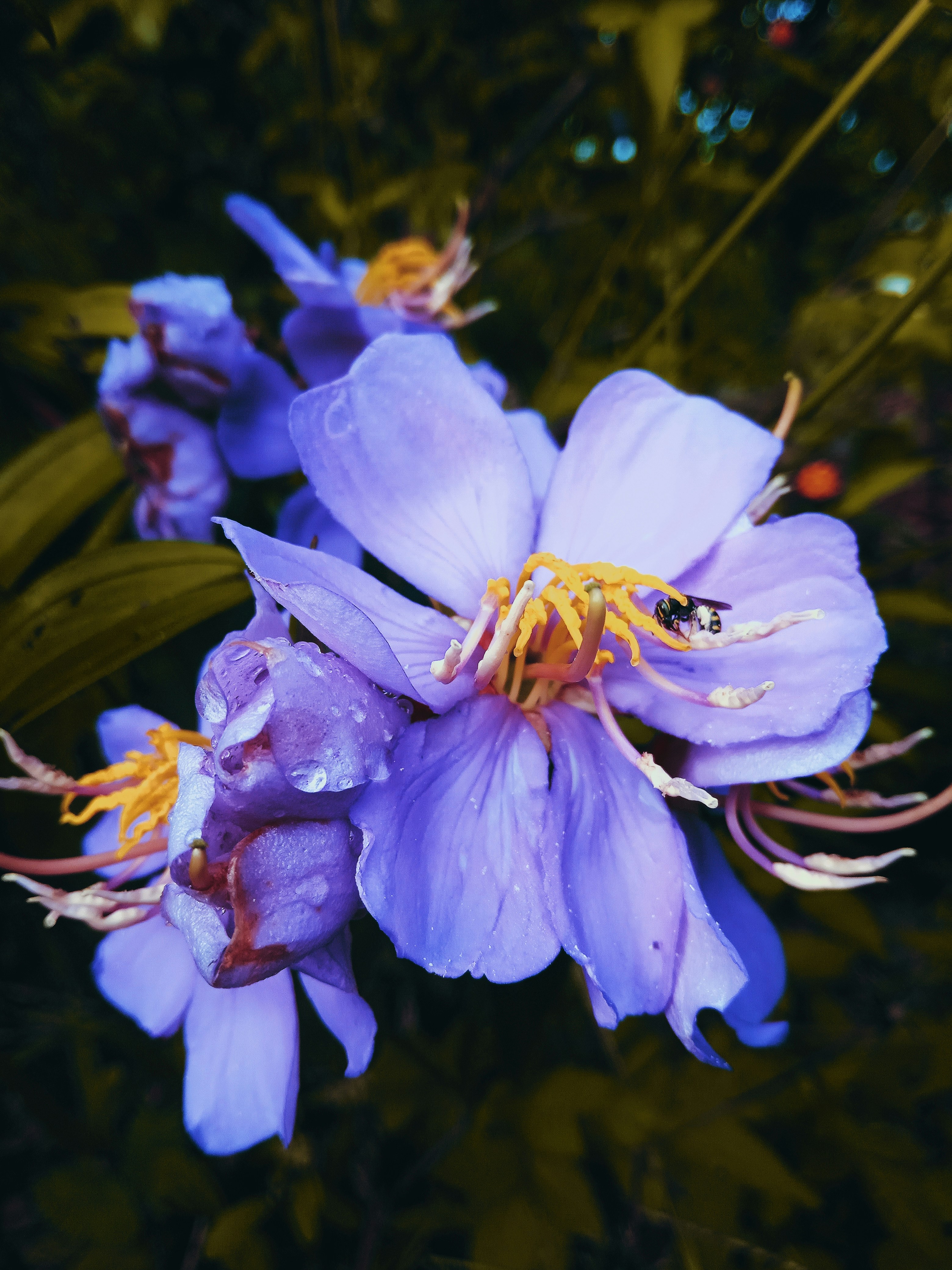 Photo by yndpictures