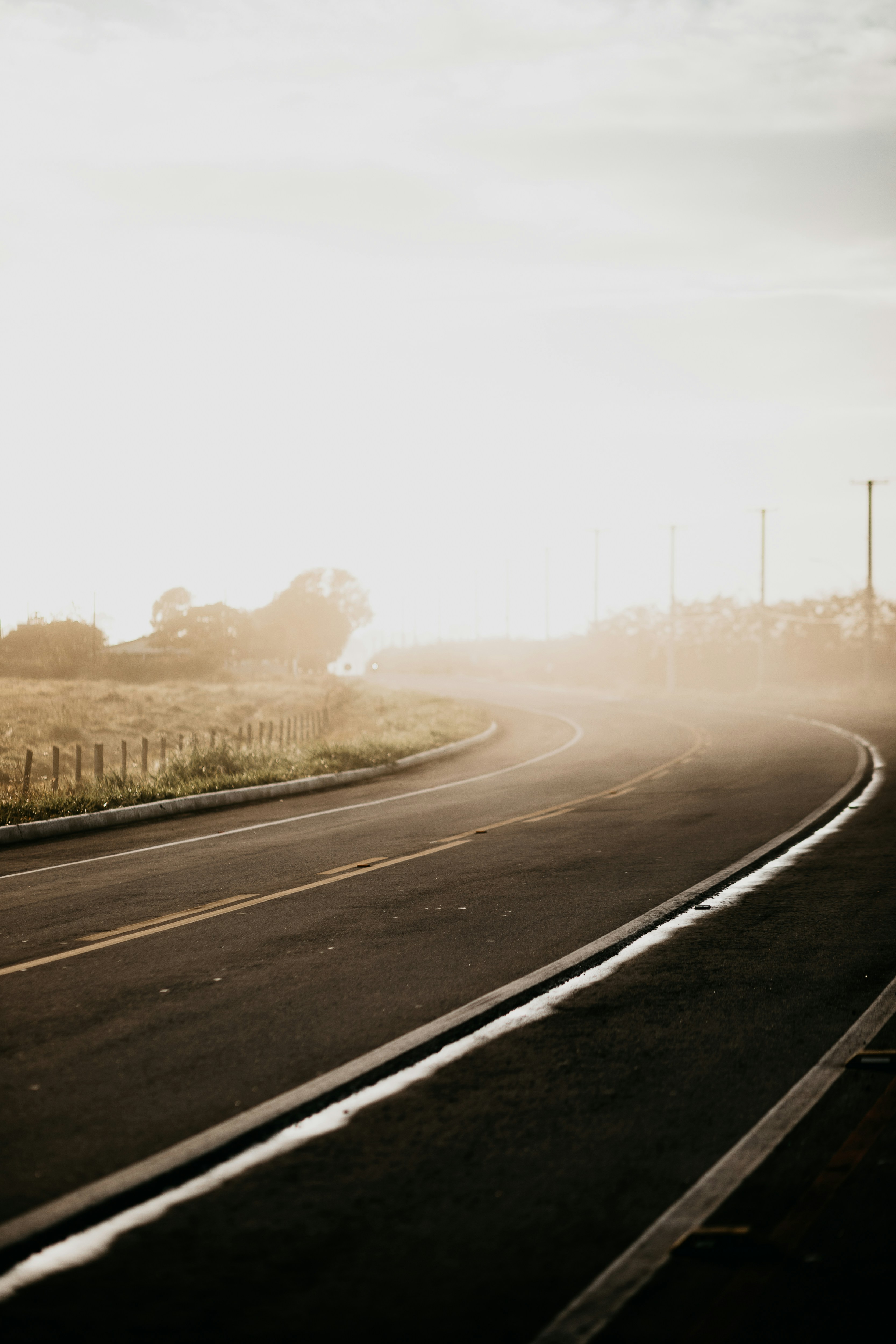 Photo by vitormonthay