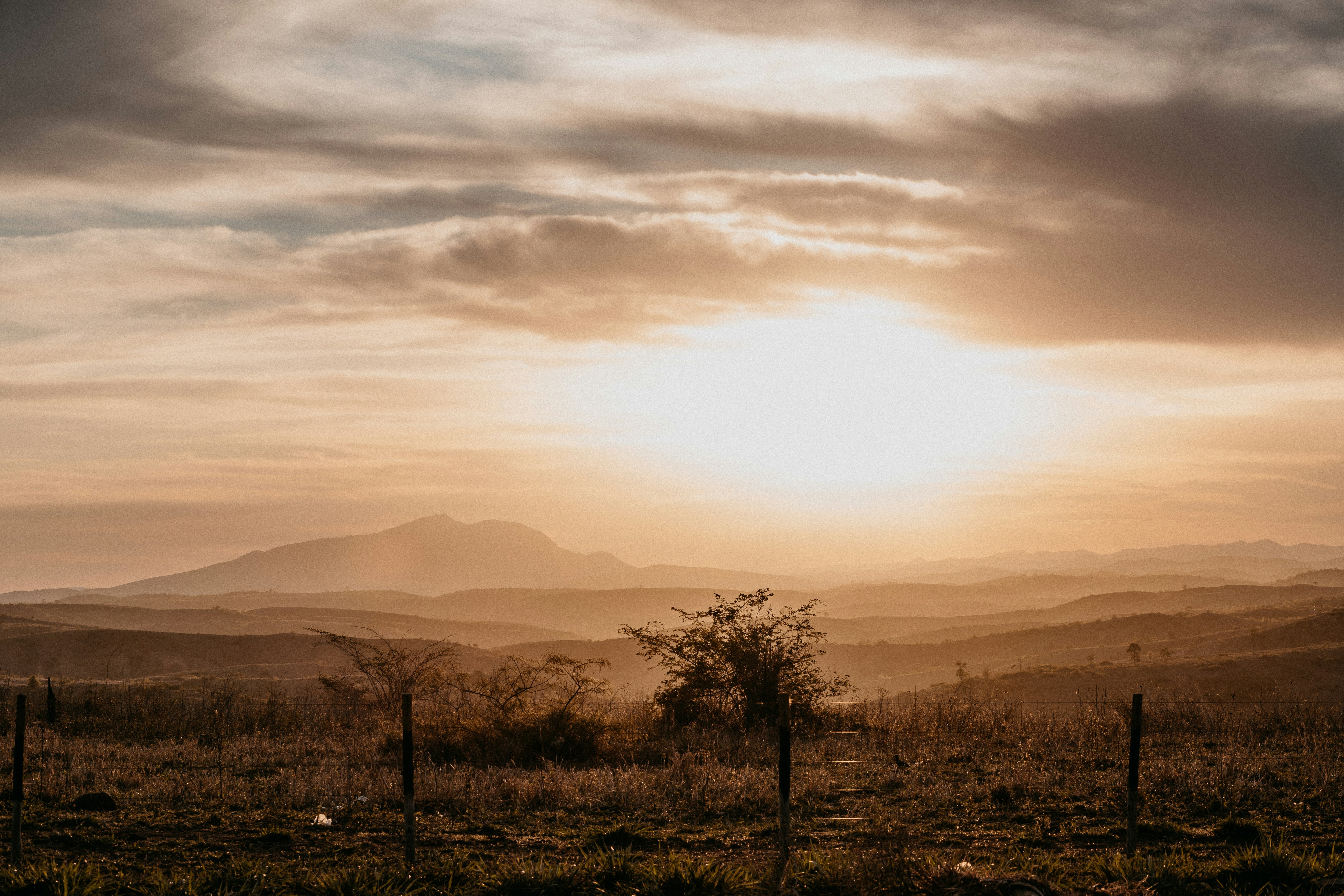 Photo by vitormonthay