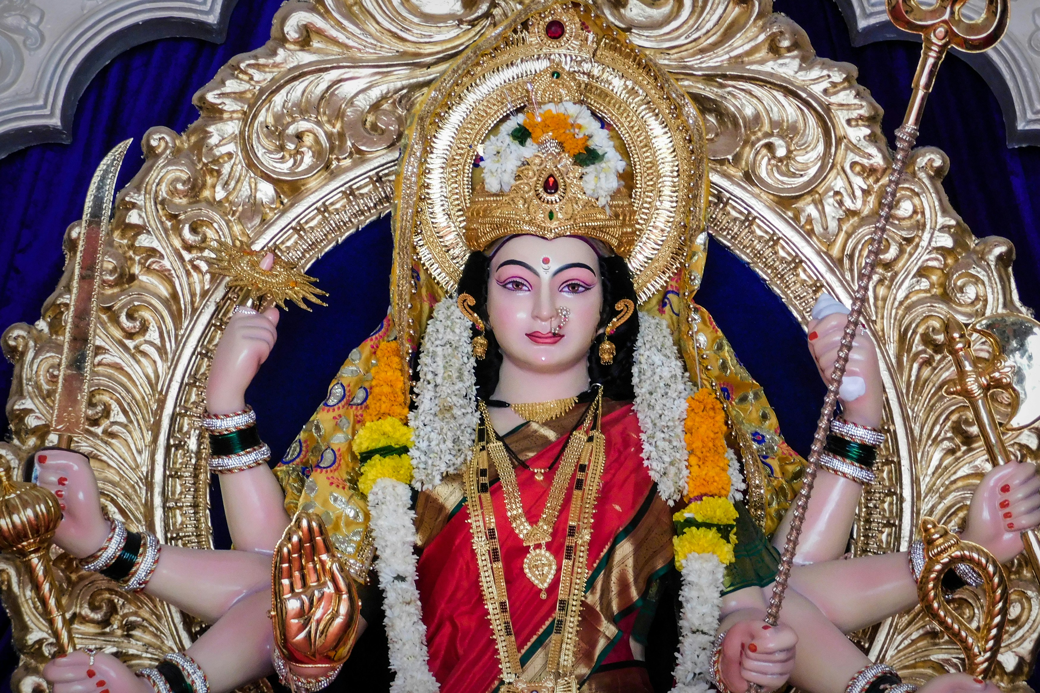 woman in red and gold sari dress